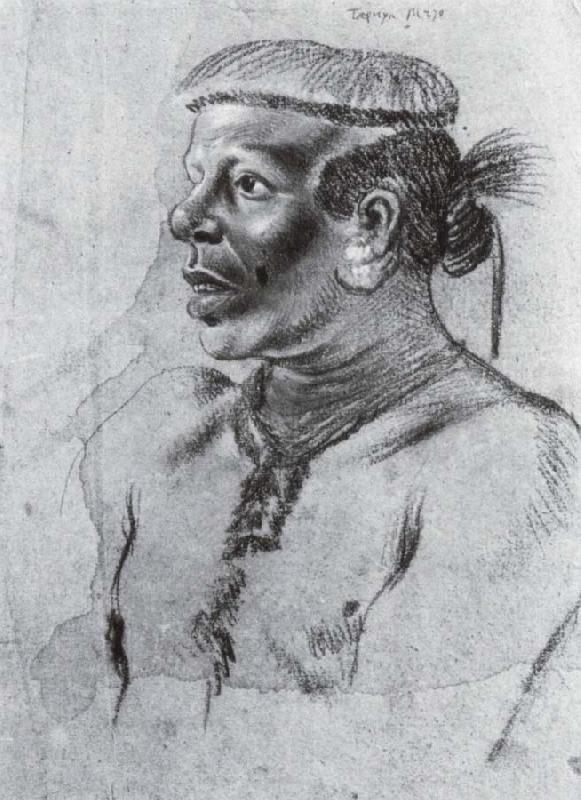 Albert van der Eeckhout Tapuya Indianer France oil painting art